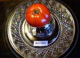 Belii Naliv.JPG
