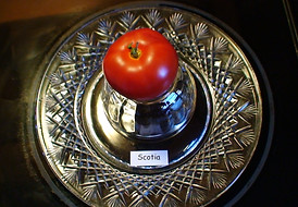 Scotia.JPG