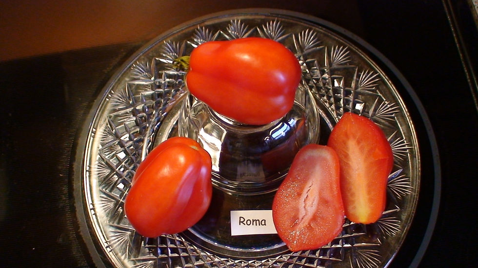 Roma whole and cut