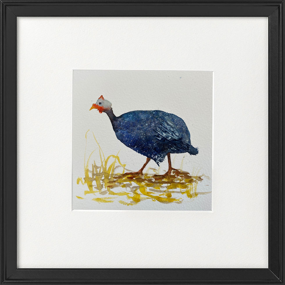 Thumbnail: One Guinea Fowl