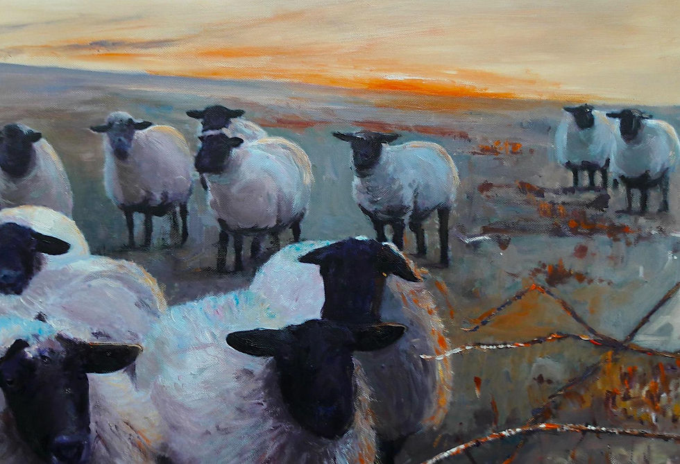 Thumbnail: Flock sunset