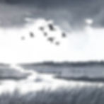 Thumbnail: Formation of ducks marshes