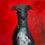 Thumbnail: Black & Grey Greyhound on Bright Red