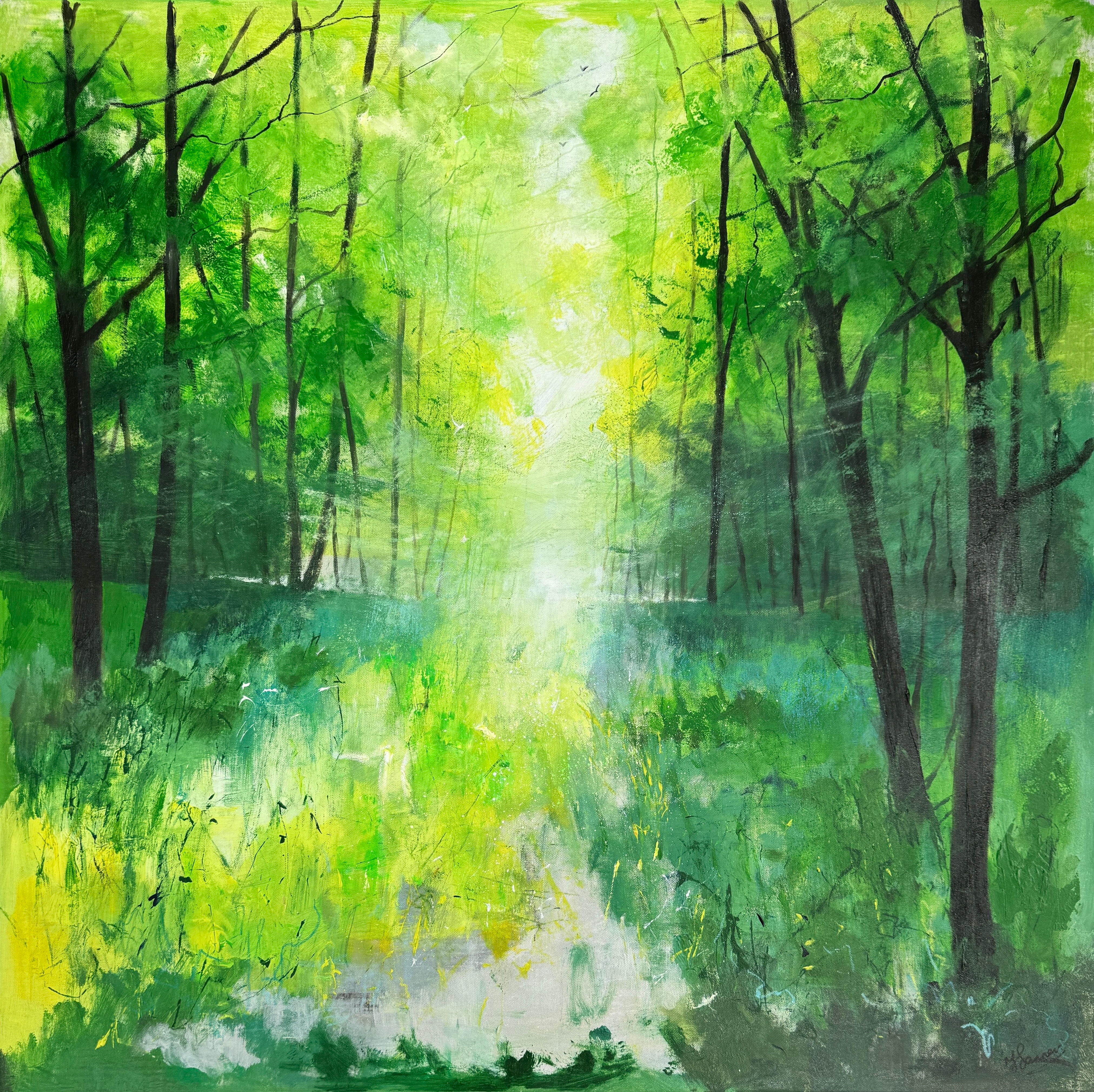 Misty Spring Woodland
