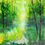Thumbnail: Misty Spring Woodland
