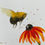 Thumbnail: Bee & Coneflower