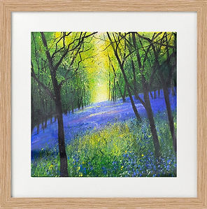 carpet of bluebells framed.jpg
