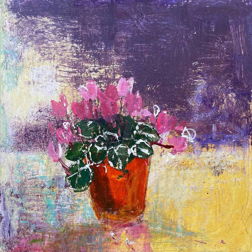 Thumbnail: Pot of Cyclamen yellow & violet tones