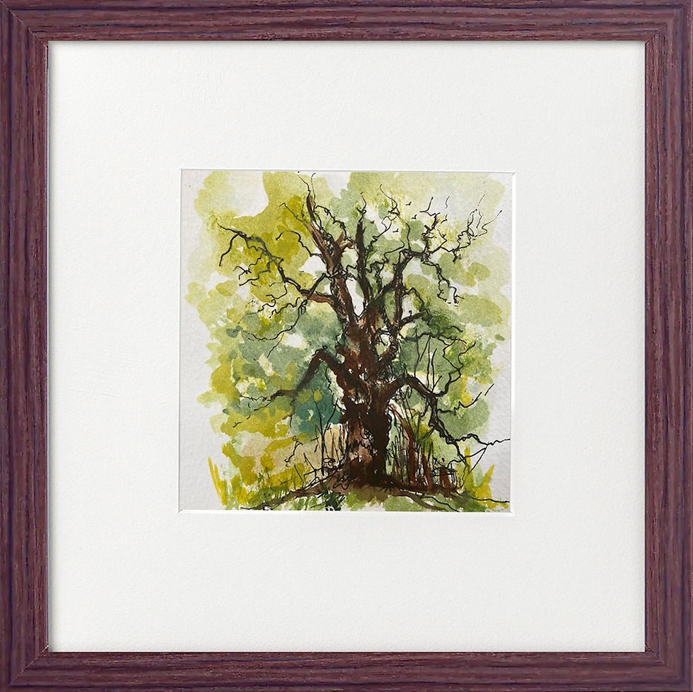 Thumbnail: Oak Tree
