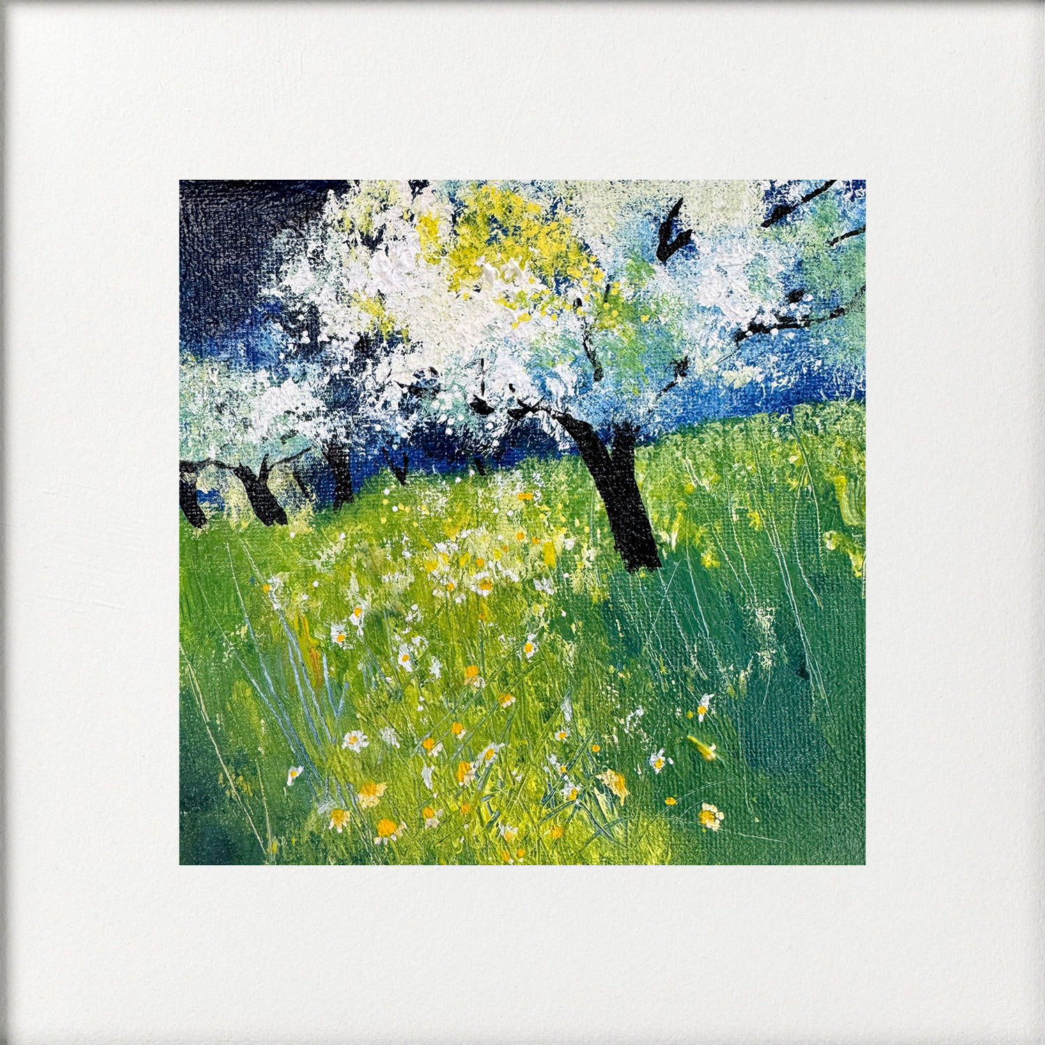 White Cherry Blossom Orchard