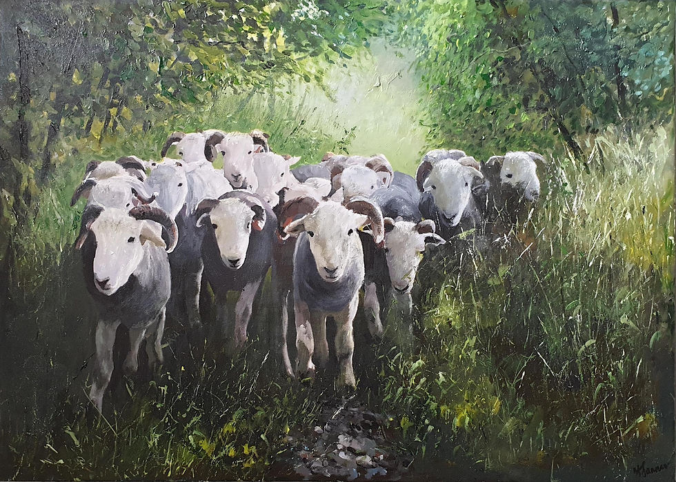 Thumbnail: Herdwicks