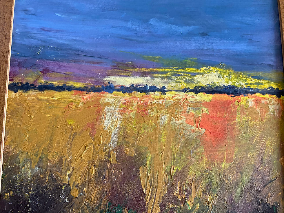 Thumbnail: Pink sky over Fields framed