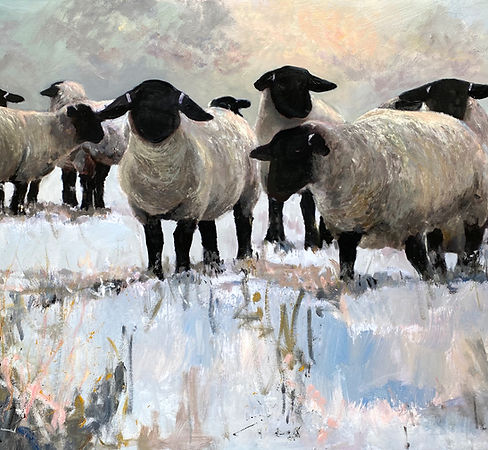 sheep main_edited.jpg