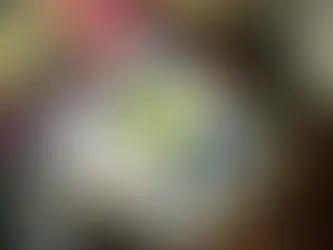 The Hikikomori syndrome: voluntary social isolation