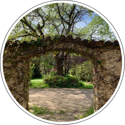 Copy of Rejuvenate brochure.png