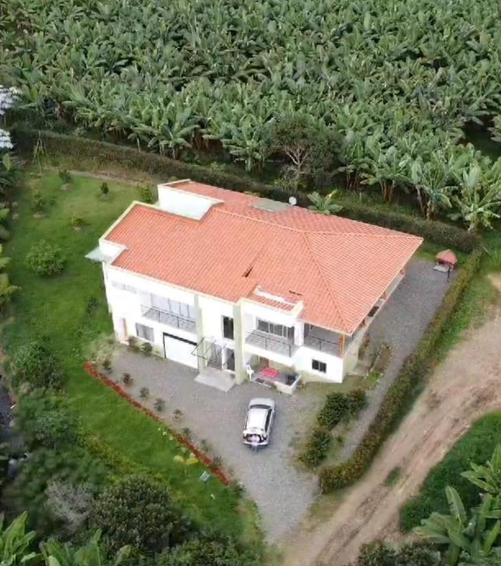 Wake Up to Coffee Farm Views: These Fincas Will Change How You See Retirement