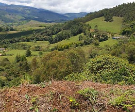34 ACRES IN JERICO