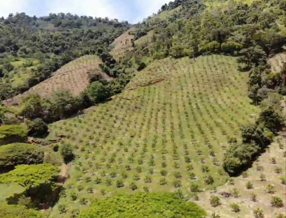 The Future of Land in Jericó: Coffee Farms, Villas, and Eco-Properties