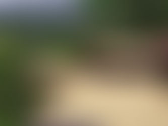 Cómo las Fincas Cafeteras en Venta en Jericó Podrían Ser la Próxima Gran Oportunidad