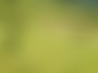 Puedo Comprar Propiedad en las Zonas Rurales de Colombia?