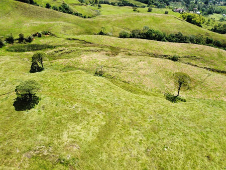 Puedo Comprar Propiedad en las Zonas Rurales de Colombia?