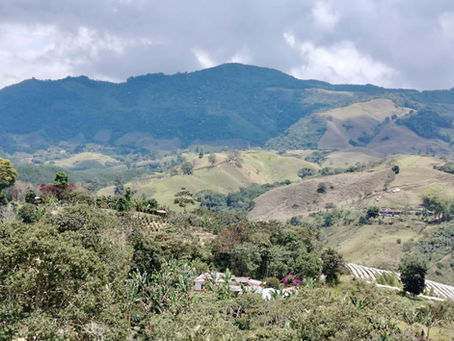 Are There Tax Benefits to Buying Property in Colombia?