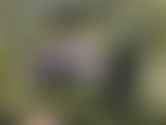 VIDA SOSTENIBLE EN JERICÓ COLOMBIA: ECO HOGARES Y PROPIEDADES FUERA DE LA RED