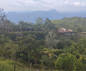 FINCA PANORAMA