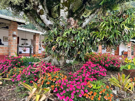 Real Estate in Jericó for Expats: Costs, Requirements, Legal Steps & Insider Tips