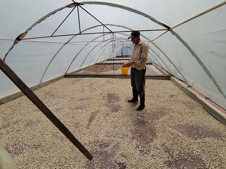 ¿Qué tan rentable es ser dueño de una finca cafetera en Colombia?