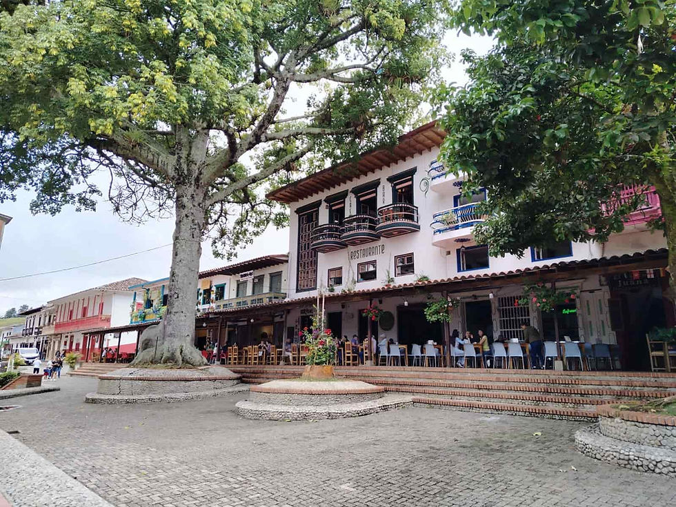 Renovation Costs and Contractors in Colombia