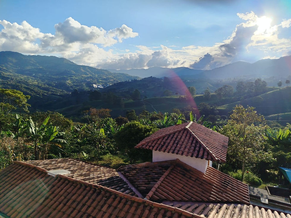¿Debería Comprar o Alquilar Propiedad en Colombia Siendo Expatriado?