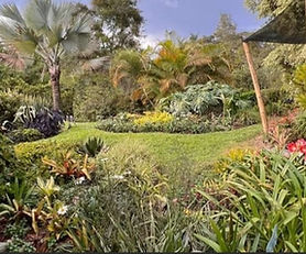 ORGANIC COFFEE FARM