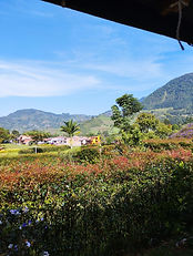 IMMACULATE COUNTRY HOME