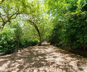 LOT FOR SALE,  JERICO, ANTIOQUIA, GUABAL