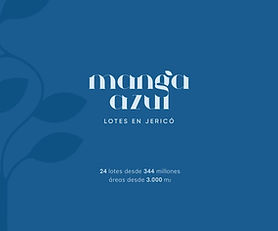 MANGA AZUL DEVELOPMENT