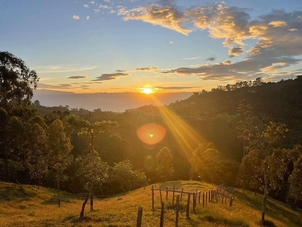 Retire in the Coffee Region: Jericó vs. Medellín, Retire in Jericó Colombia
