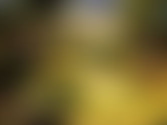 ¿Cuáles son los costos ocultos al comprar bienes raíces en Colombia?