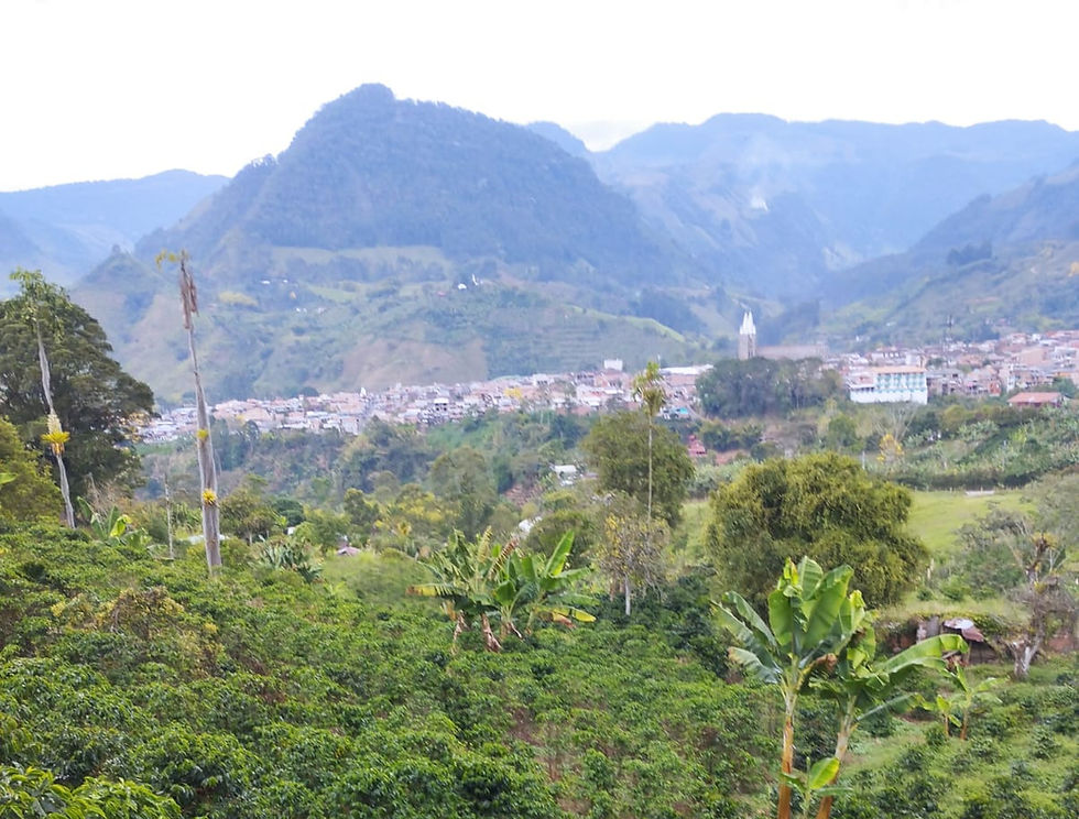 Why Jardin is Colombia's Best-Kept Secret