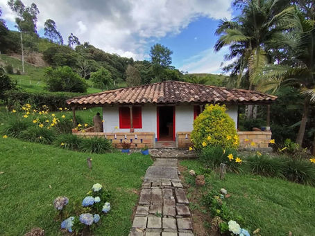 Farm vs Town Property in Jericó: Which Is Right for You?
