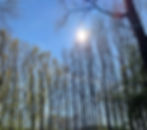 © 2022 Michael Hohmann.jpg