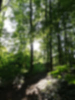 © 2021 Michael Hohmann.jpg