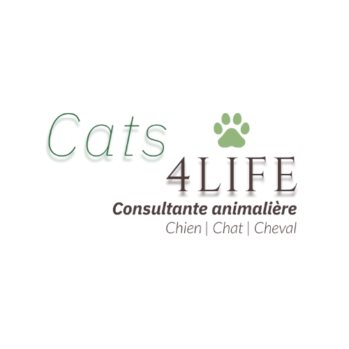 Photo du rédacteur: Cats4life