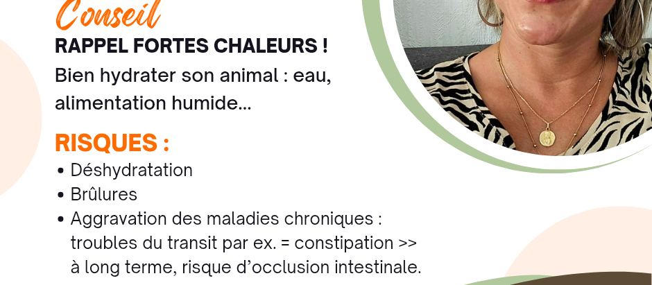 Rappel fortes chaleurs !