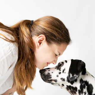 photographe pour chien dans l'Eure portrait chien Dreux Evreux
