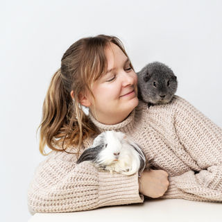 photographe pour chien dans l'Eure portrait chien Dreux Evreux