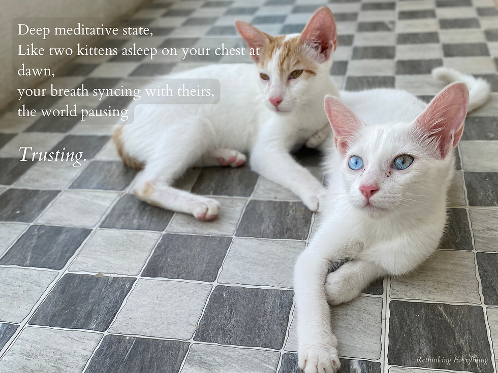 Image by author
