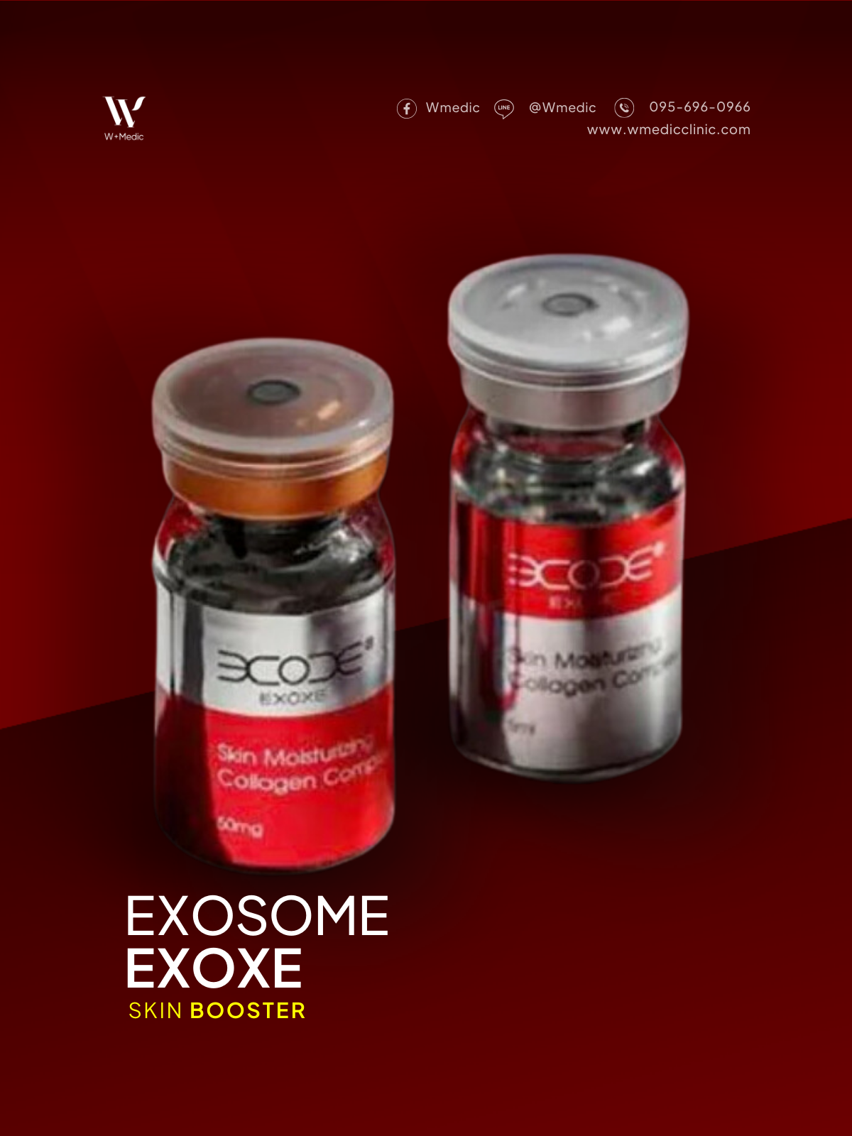 EXOSOME EXOXE