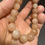 Thumbnail: Peach Moonstone 11MM bead bracelet 