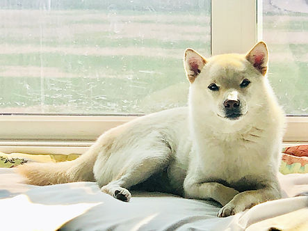 8FA732B6-5AE3-41C3-82AA-485F3D27575C (1).JPG